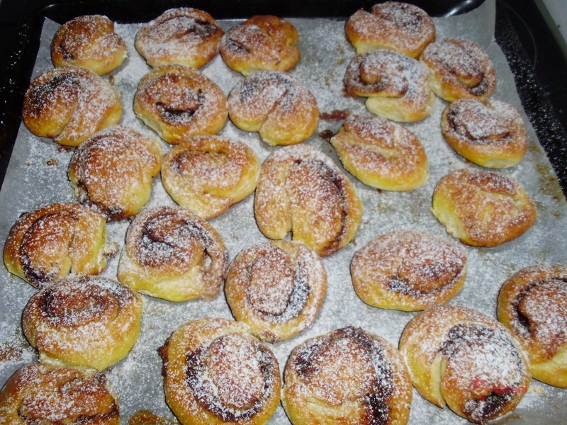 Ořechoví šneci - fotografie 2