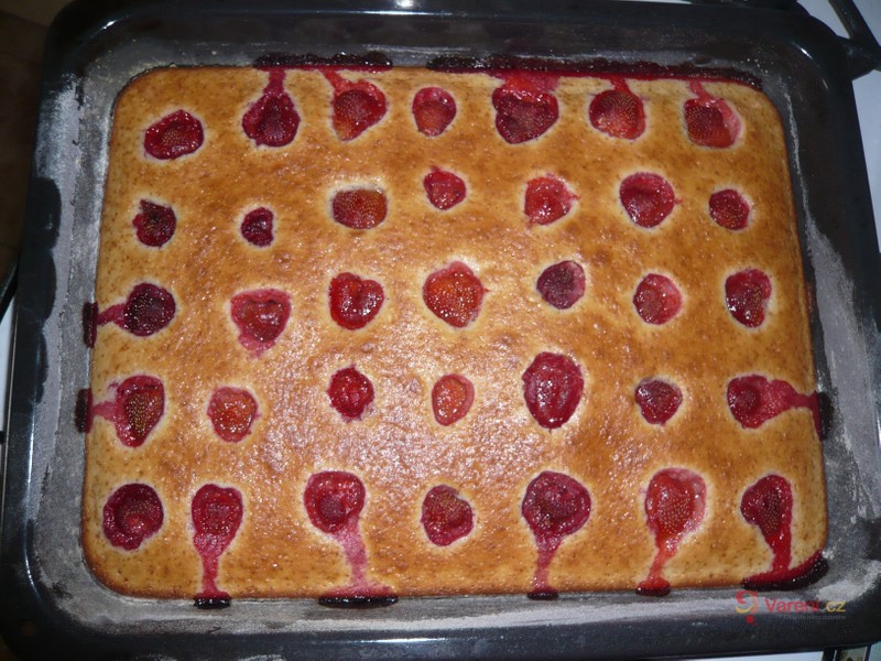 Bublanina s ovocem - fotografie 4