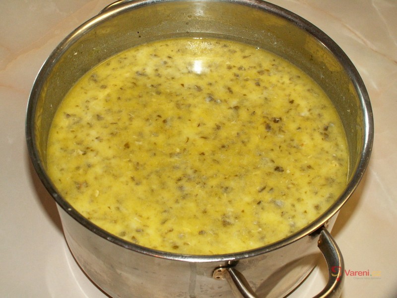 Šťovíková polévka mé babičky - fotografie 4