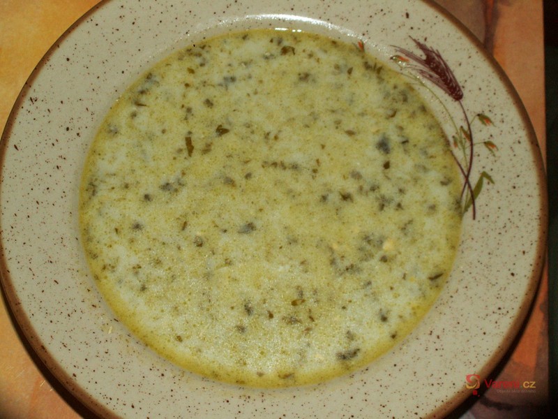 Šťovíková polévka mé babičky - fotografie 5