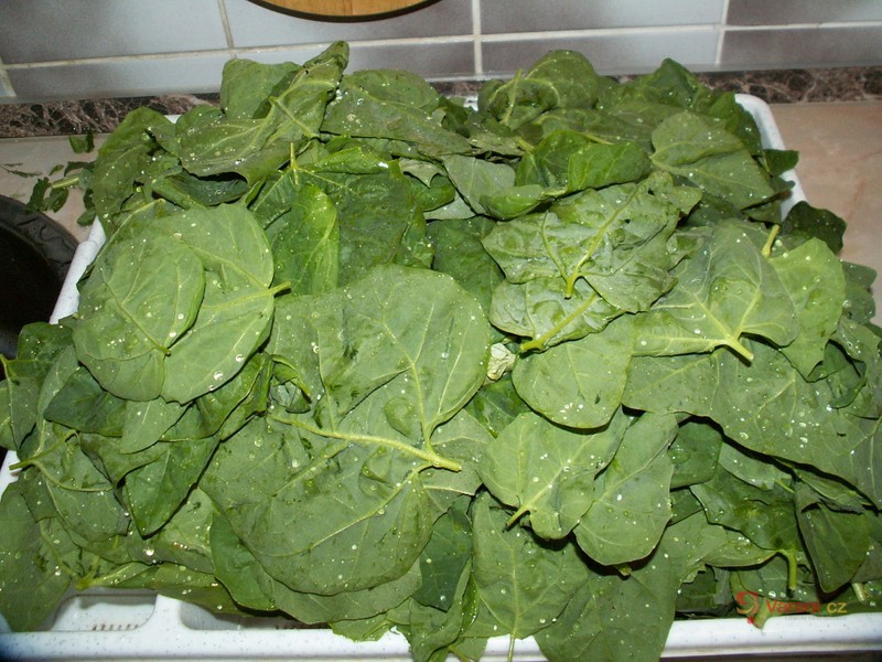 Špenátový salát s nivou - fotografie 2