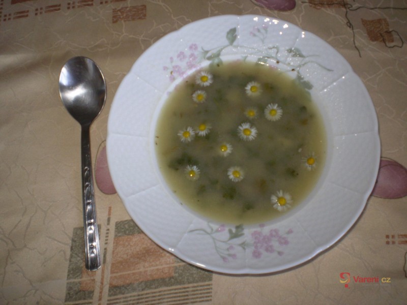 Polévka charčo - fotografie 2