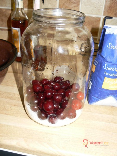 Domácí griotka - fotografie 2