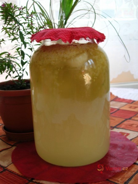 Bezová limonáda - fotografie 4