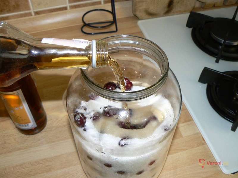 Domácí griotka - fotografie 3