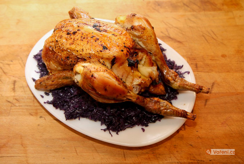 Nadívaná divoká kachna