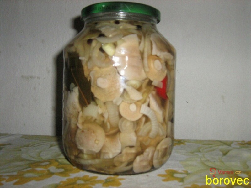 Zavináče z hub - fotografie 2