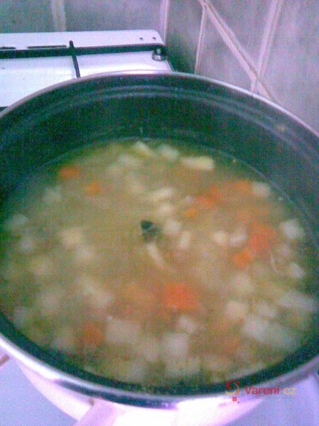 Jarní zeleninová polévka - fotografie 4