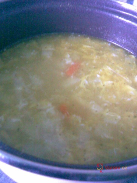 Jarní zeleninová polévka - fotografie 5