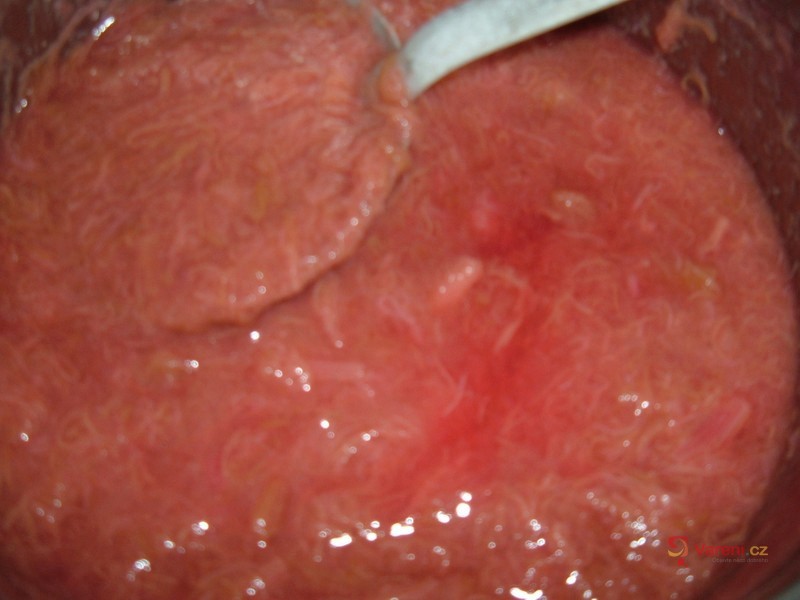 Reveňový kompot - fotografie 3