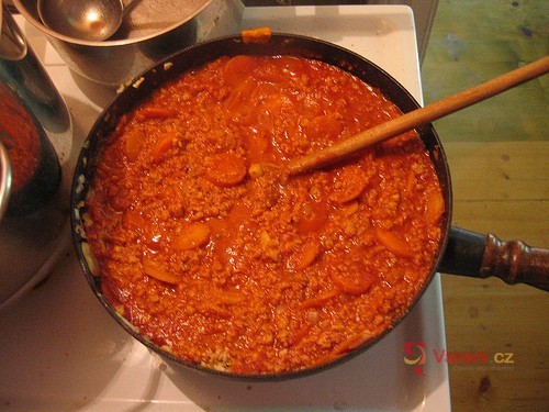 Mexická salsa - fotografie 2