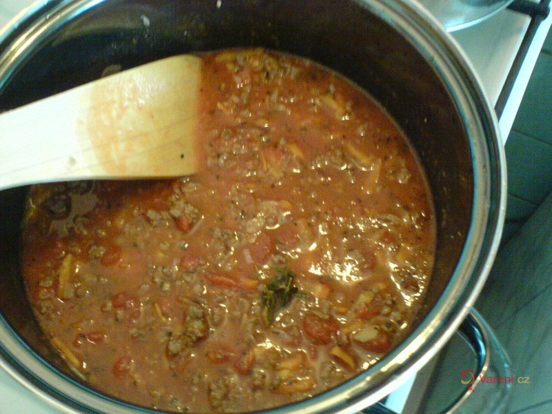 Odlehčené lasagne - fotografie 5