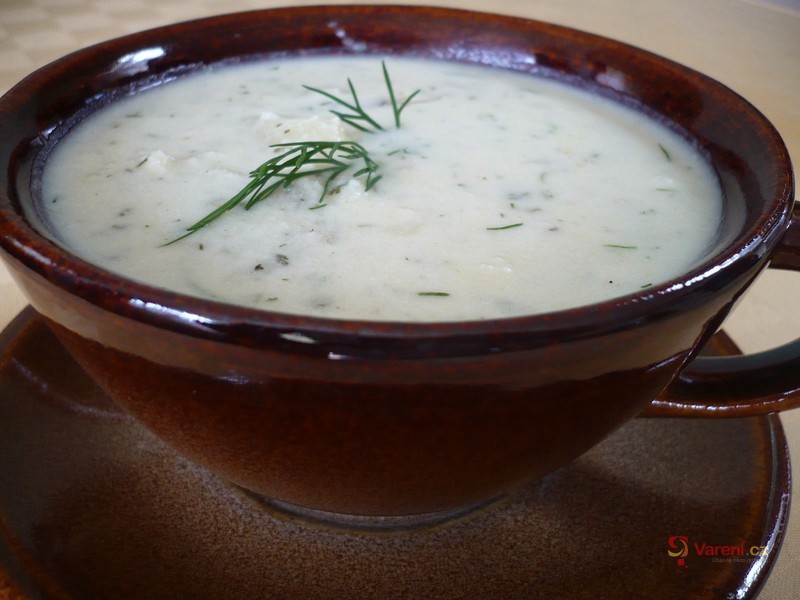 Brynzová polévka s koprem