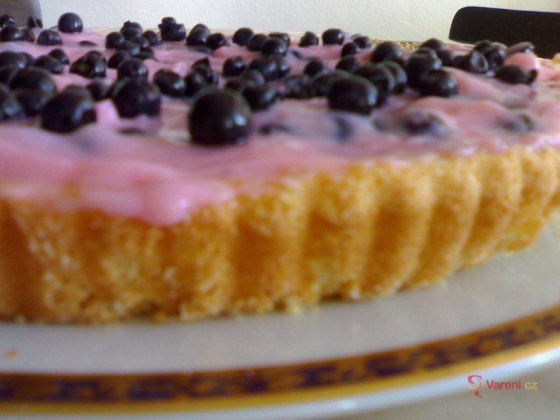 Borůvkový piškot s pudinkem - fotografie 2