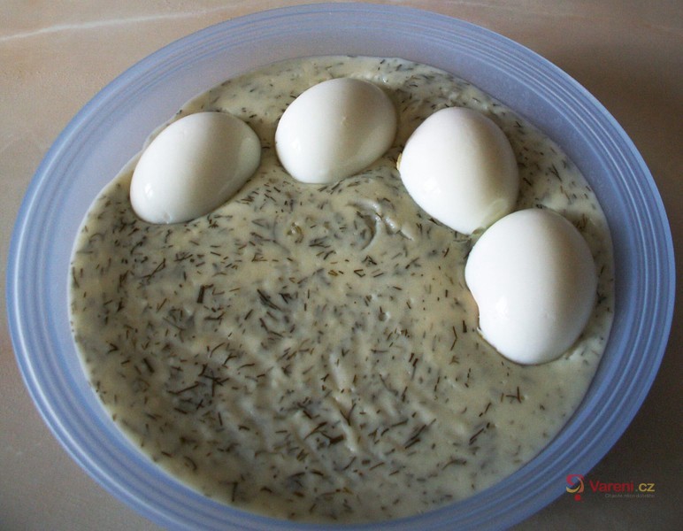 Koprovka od babičky - fotografie 3