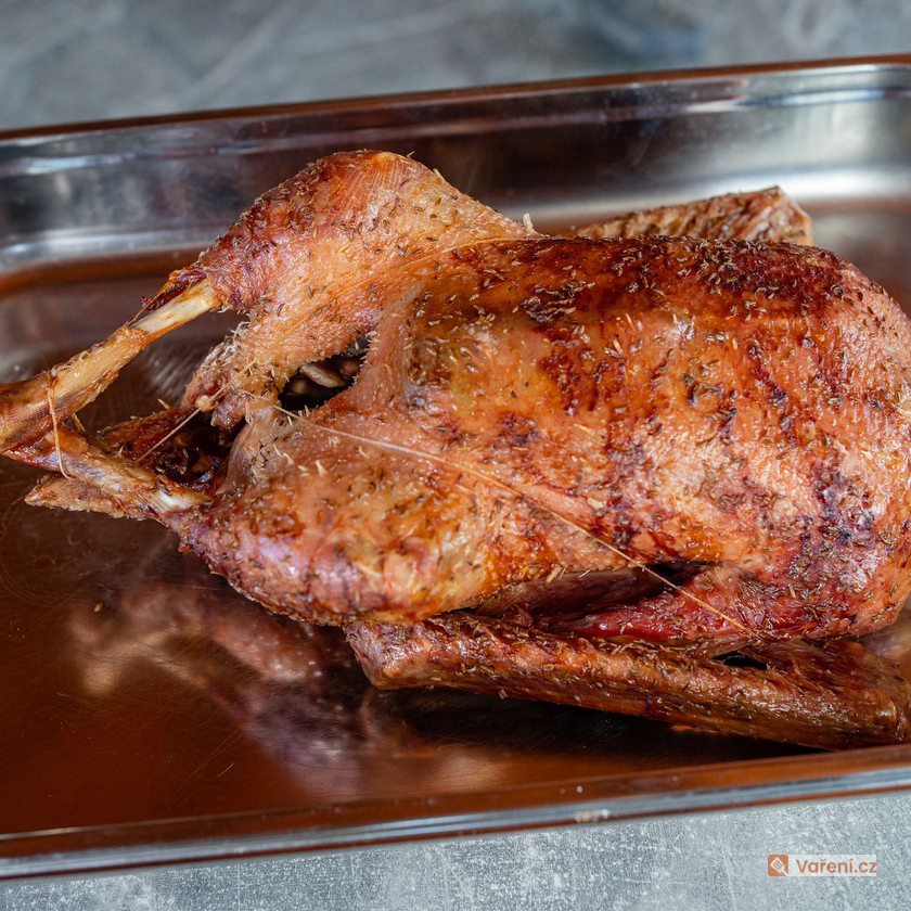 Svatomartinská husa na grilu - fotografie 3