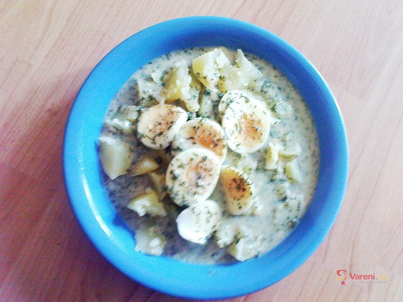 Dědova koprová omáčka - fotografie 5