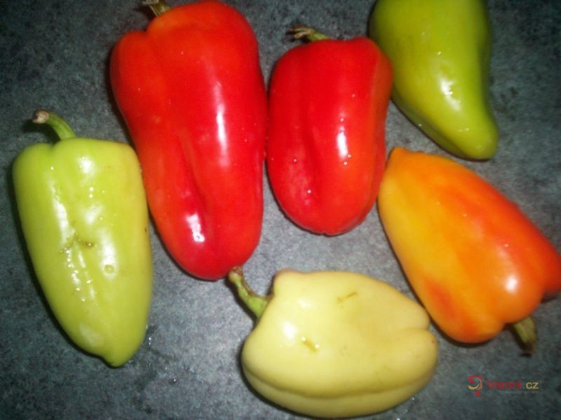 Kuřecí stehna pečená na paprice - fotografie 2