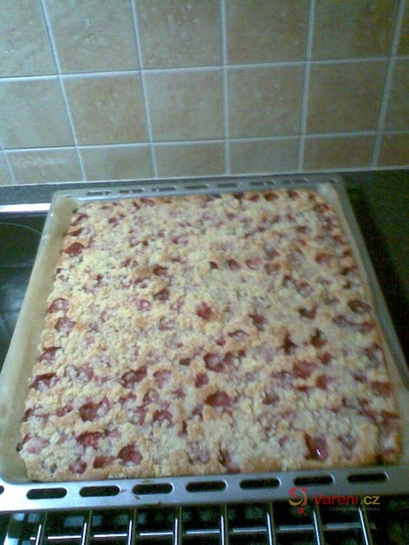 Koláč s ovocem - fotografie 2