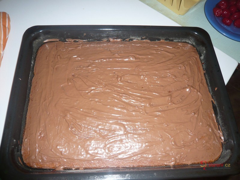 Buchta všehochuť - fotografie 4