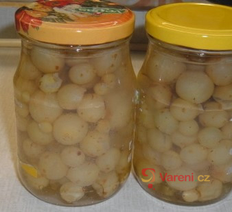 Hroznový kompot - fotografie 2