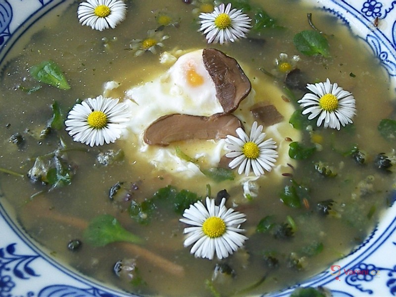 Jarní polévka