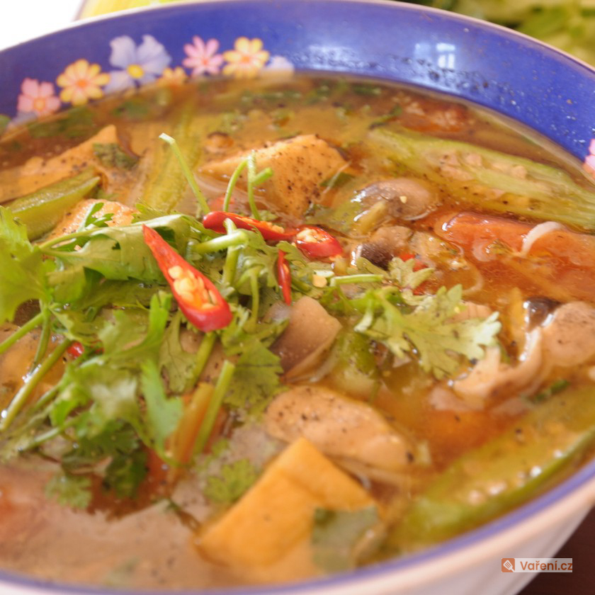 Tukožroutská polévka