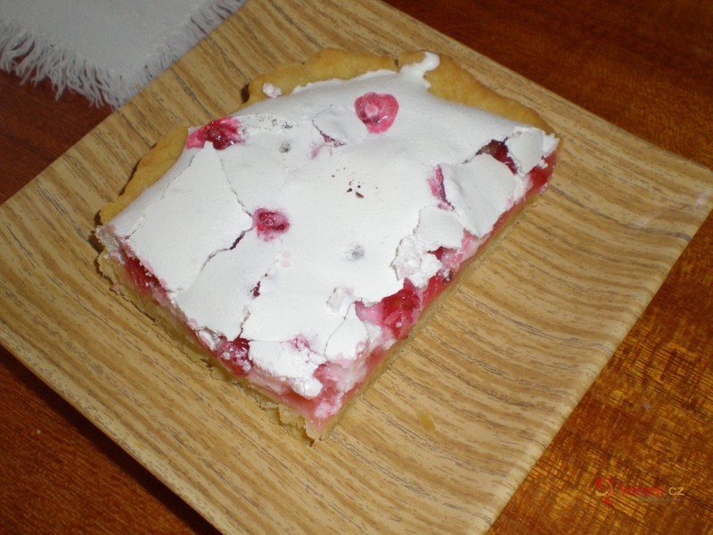 Rybízové řezy - fotografie 2