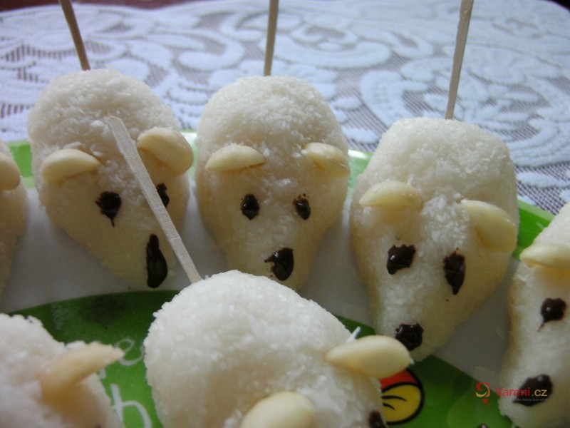 Bílé myšky - fotografie 3