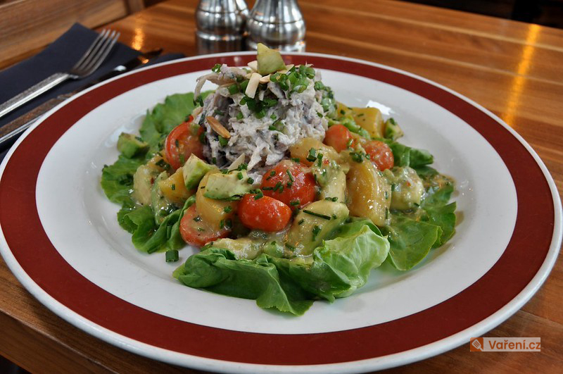 Salát s kuřecím masem a tzatziky