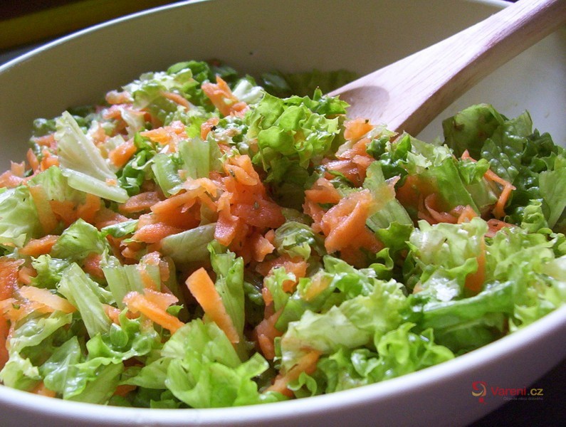 Lollo salát s mrkví