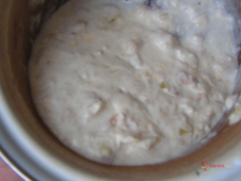 Chlebová polévka s houbami - fotografie 2