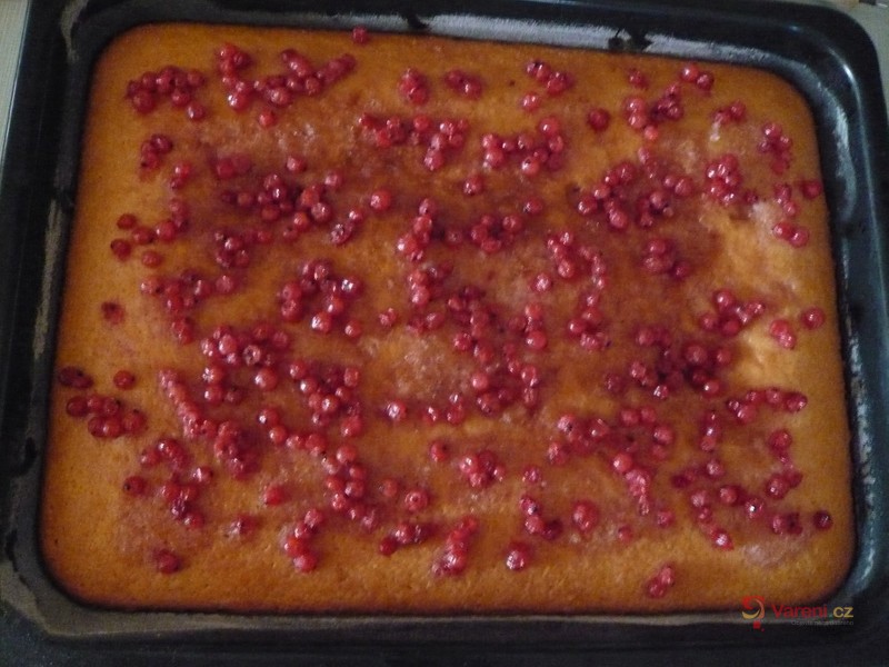 Řezy s ovocem a rosolem - fotografie 3