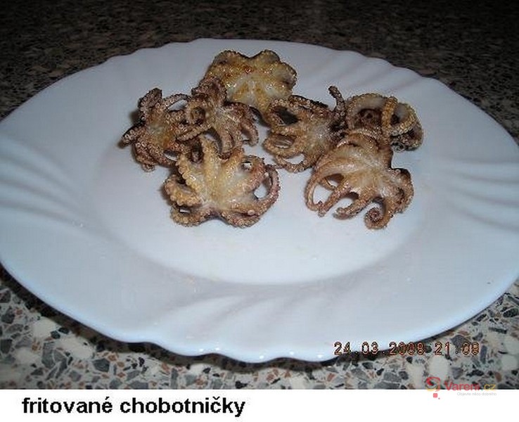 Fritované chobotničky