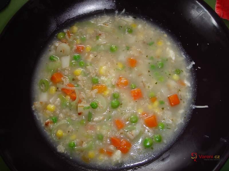 Polévka z ovesných vloček a sýra - fotografie 2