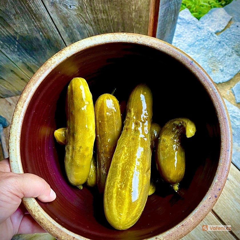 Hanácké rychlokvašky