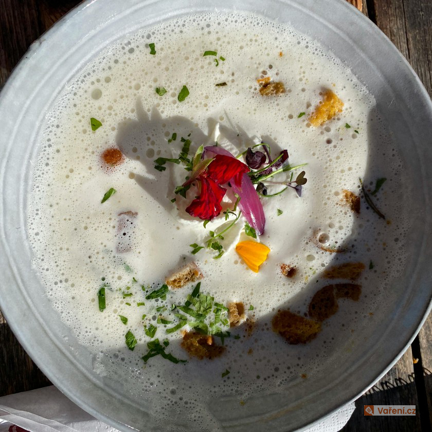 Rychlá polévka ze zakysané smetany