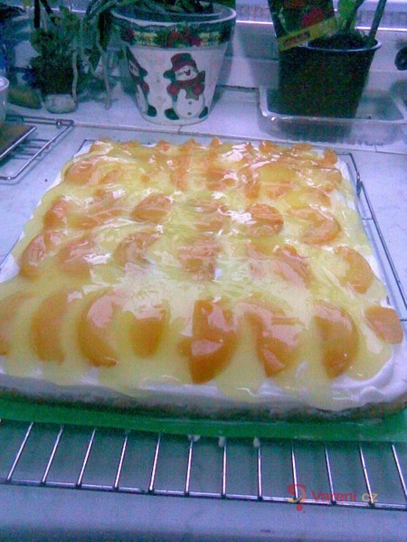 Ovocné řezy - fotografie 4