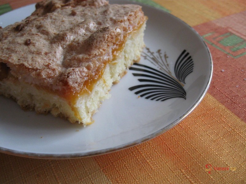 Meruňkové řezy s kokosovým čepcem - fotografie 2