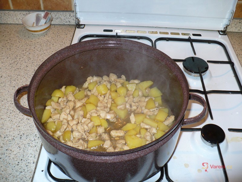 Zeleninový boršč s masem - fotografie 3