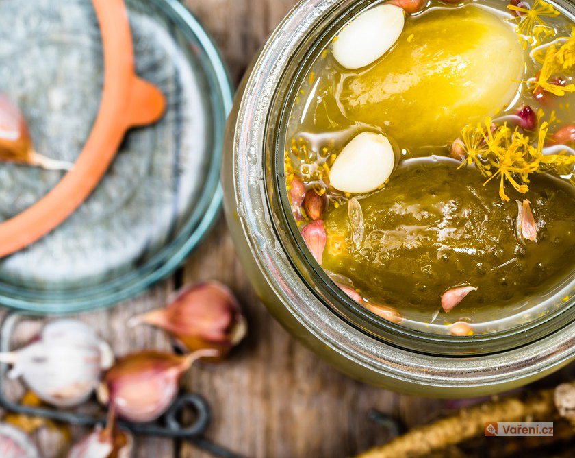 Okurky jako kvašáky