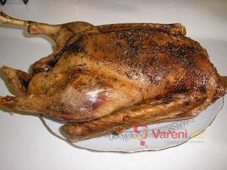 Pečená husa - fotografie 2