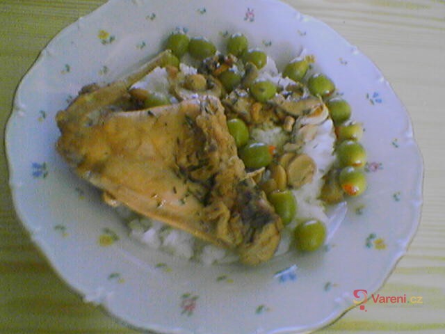 Králík na žampionech - fotografie 2