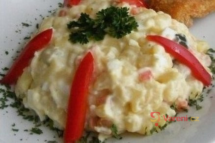 Jogurtový salát - fotografie 2