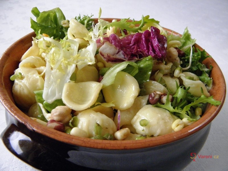Listové saláty s těstovinou