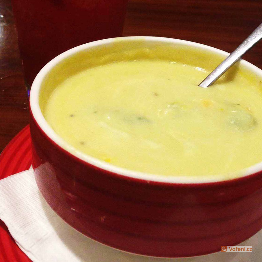 Sedlácká sýrová polévka