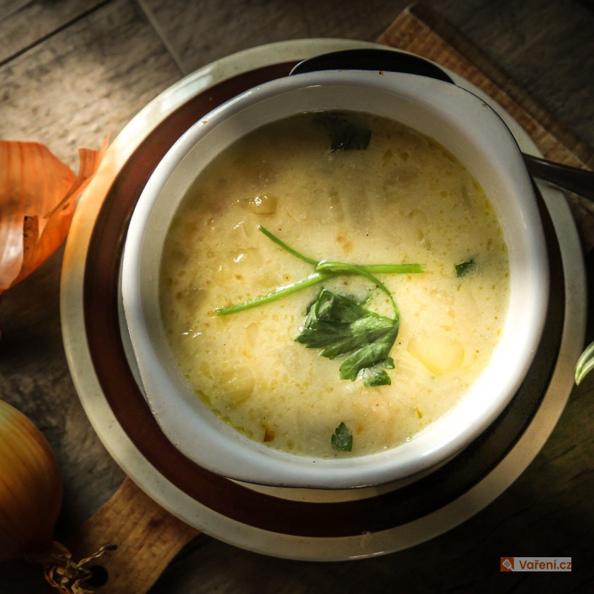Rychlá pórková polévka se smetanou