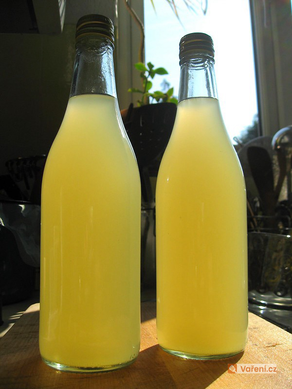 Zázvorový sirup s medem