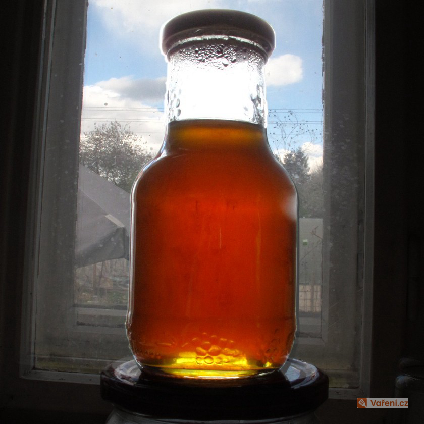 Pampeliškový med s mladými kopřivami